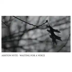 Waiting for a Voice