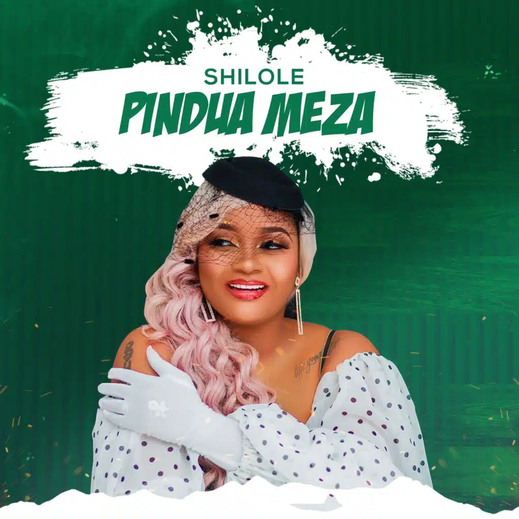 Pindua Meza