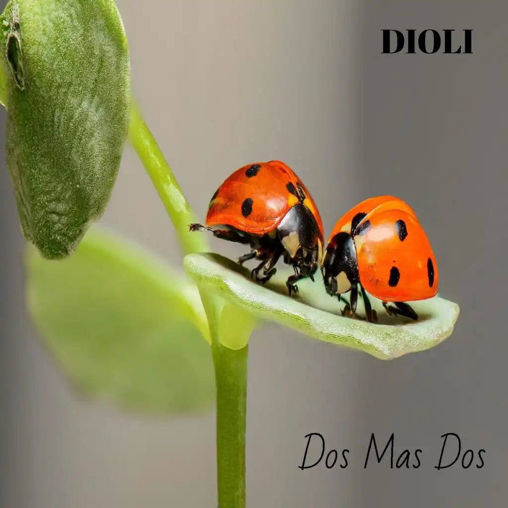 Dos Mas Dos (2+2)