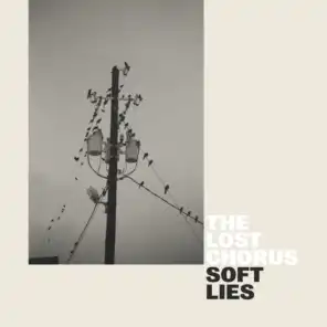 Soft Lies
