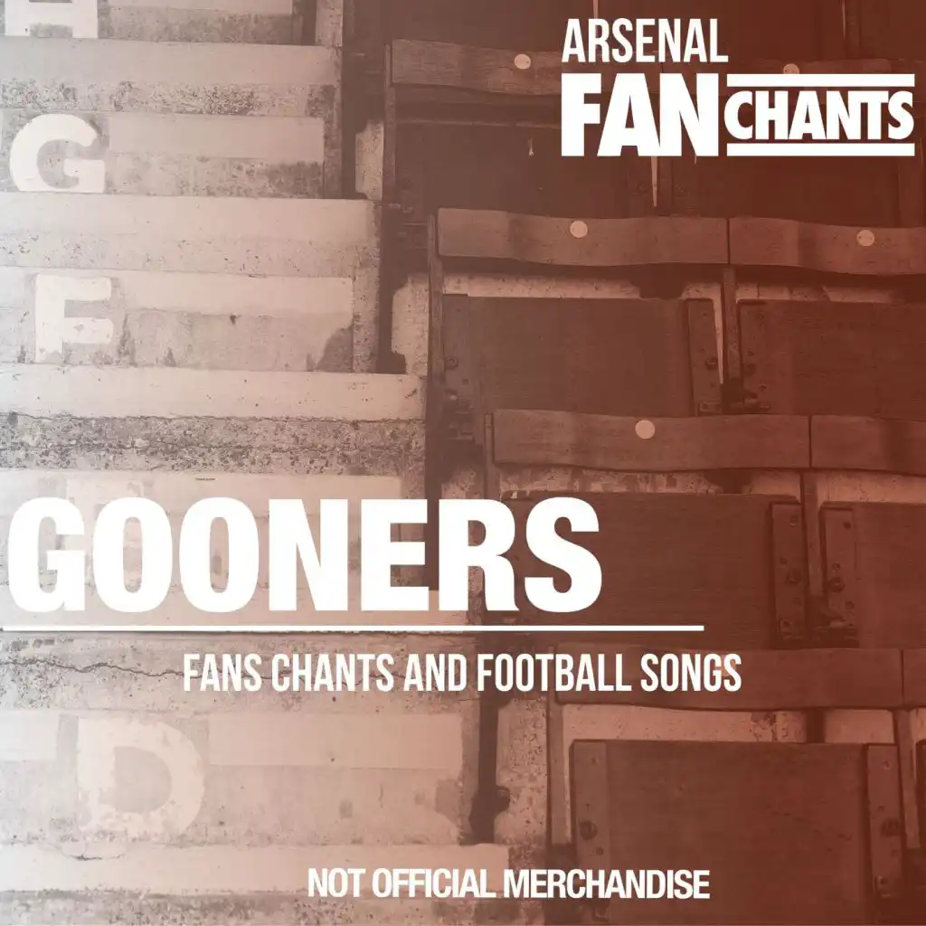 We Love You Arsenal (with FanChants)
