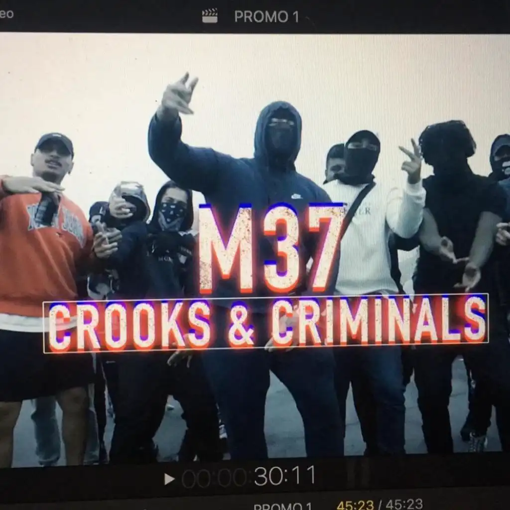 Crooks N Criminals (feat. M37_syn, BABY.llZ, M37Ajay, Manyloco & Sleezy)