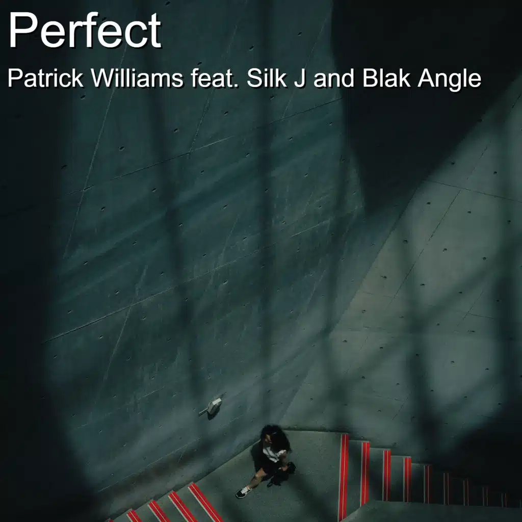 Perfect (feat. Blak Angle and Silk J)