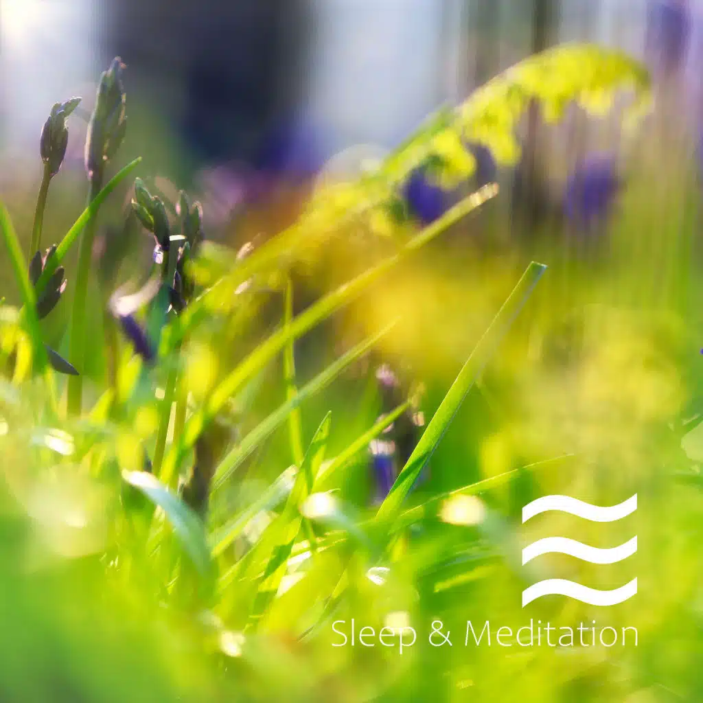 Mind relaxing white noise sounds