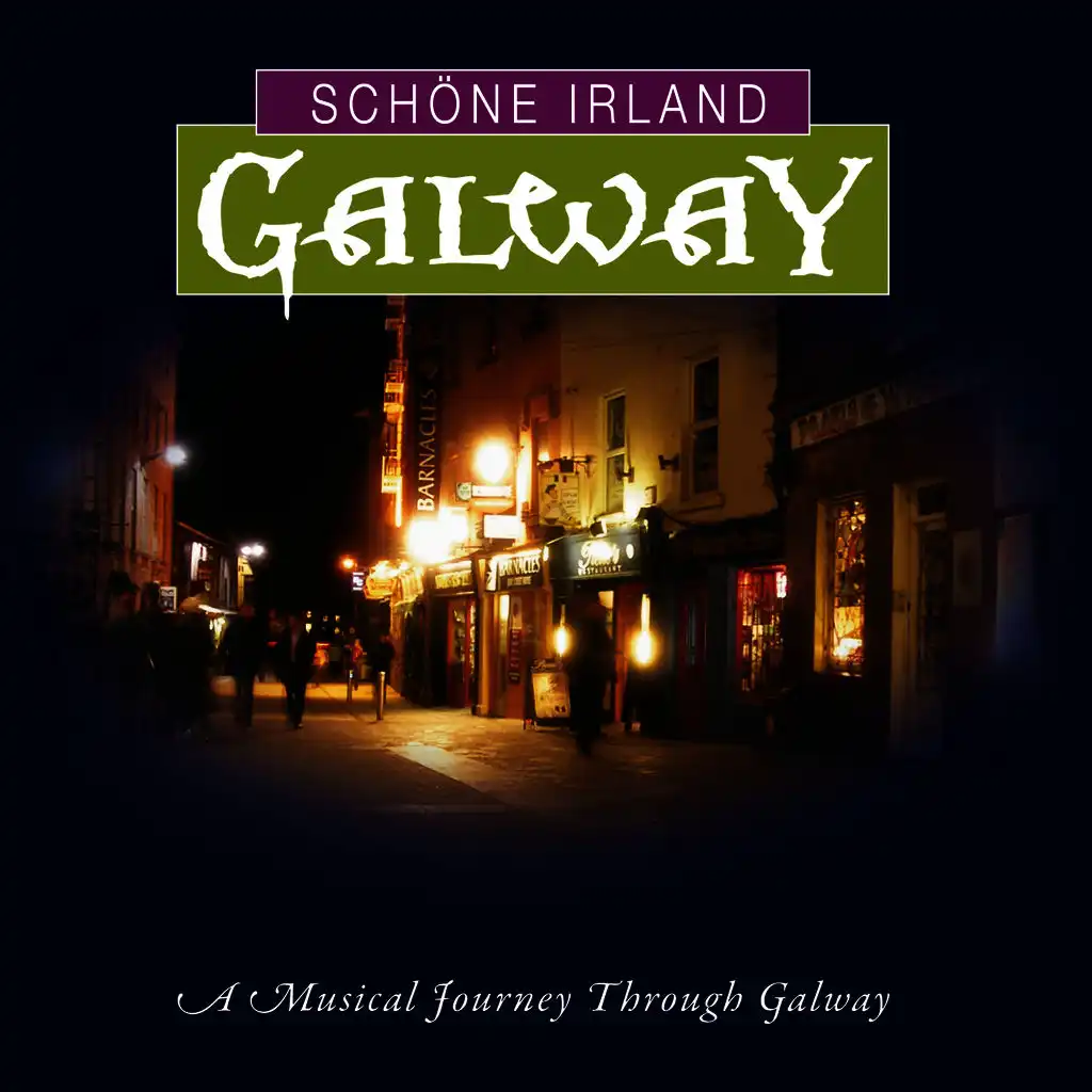 Schöne Irland - Galway