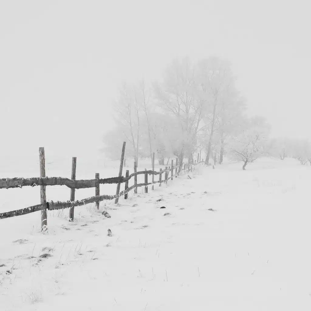 Fan Noise Winter Collection