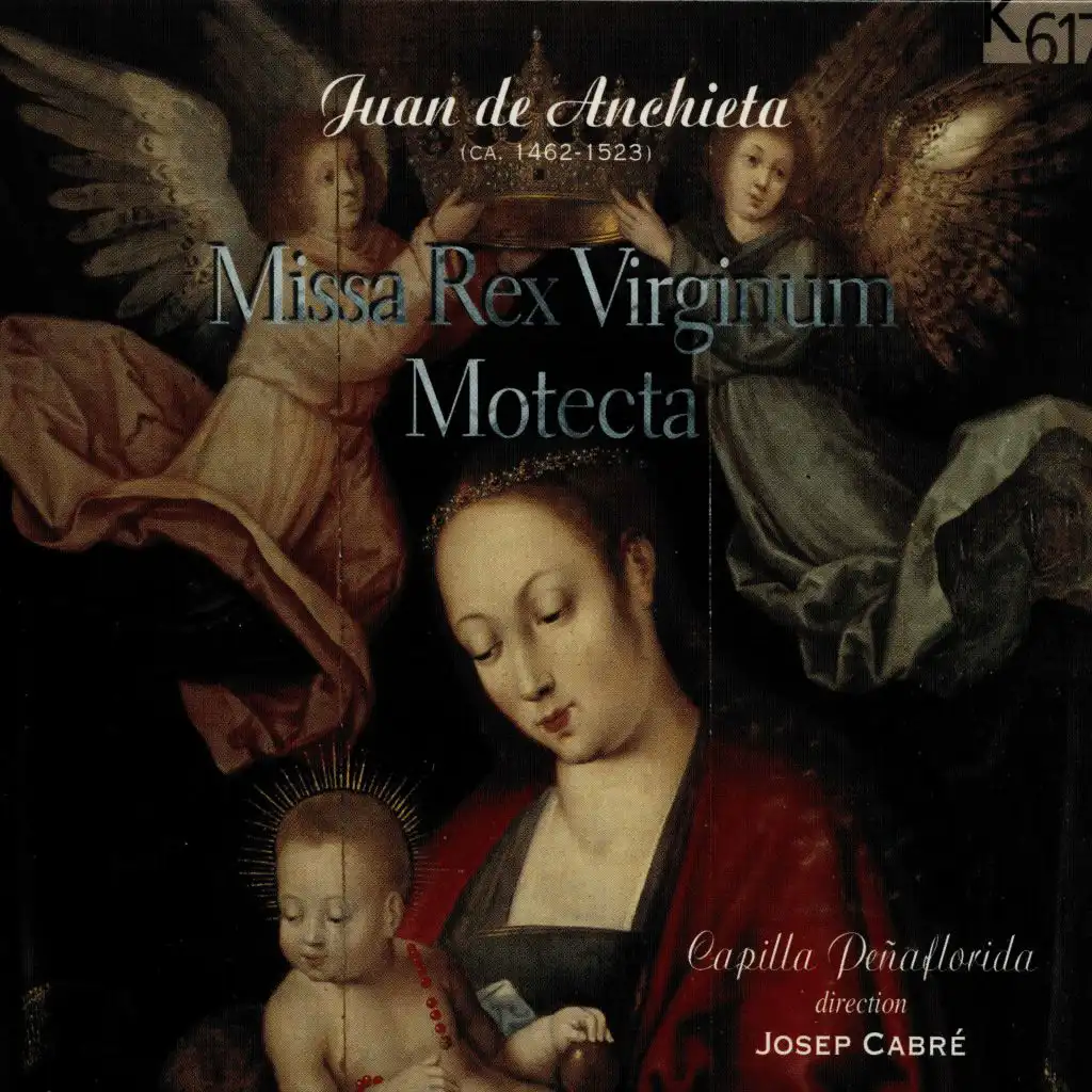 Missa de Beata Virgine: Agnus Dei