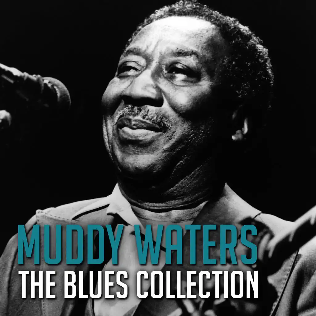 The Blues Collection: Muddy Waters