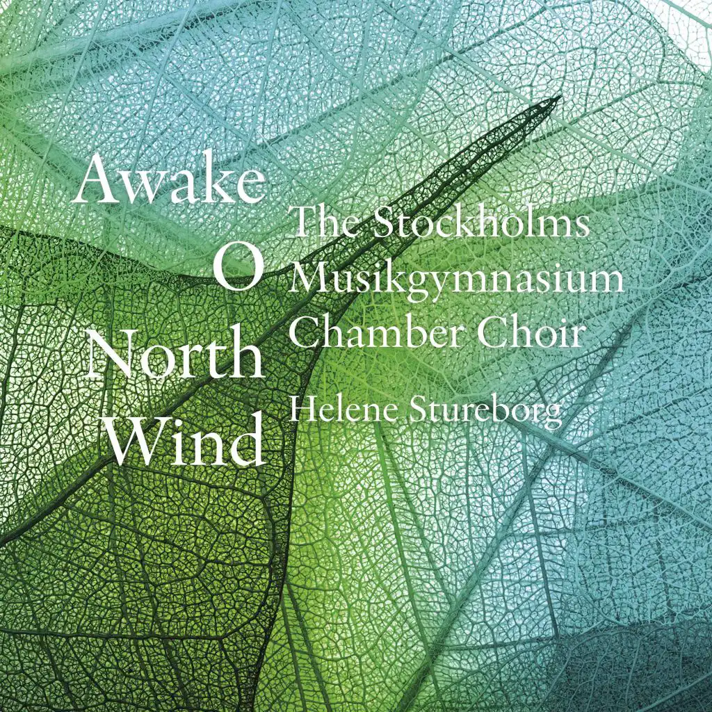 Awake, O North Wind