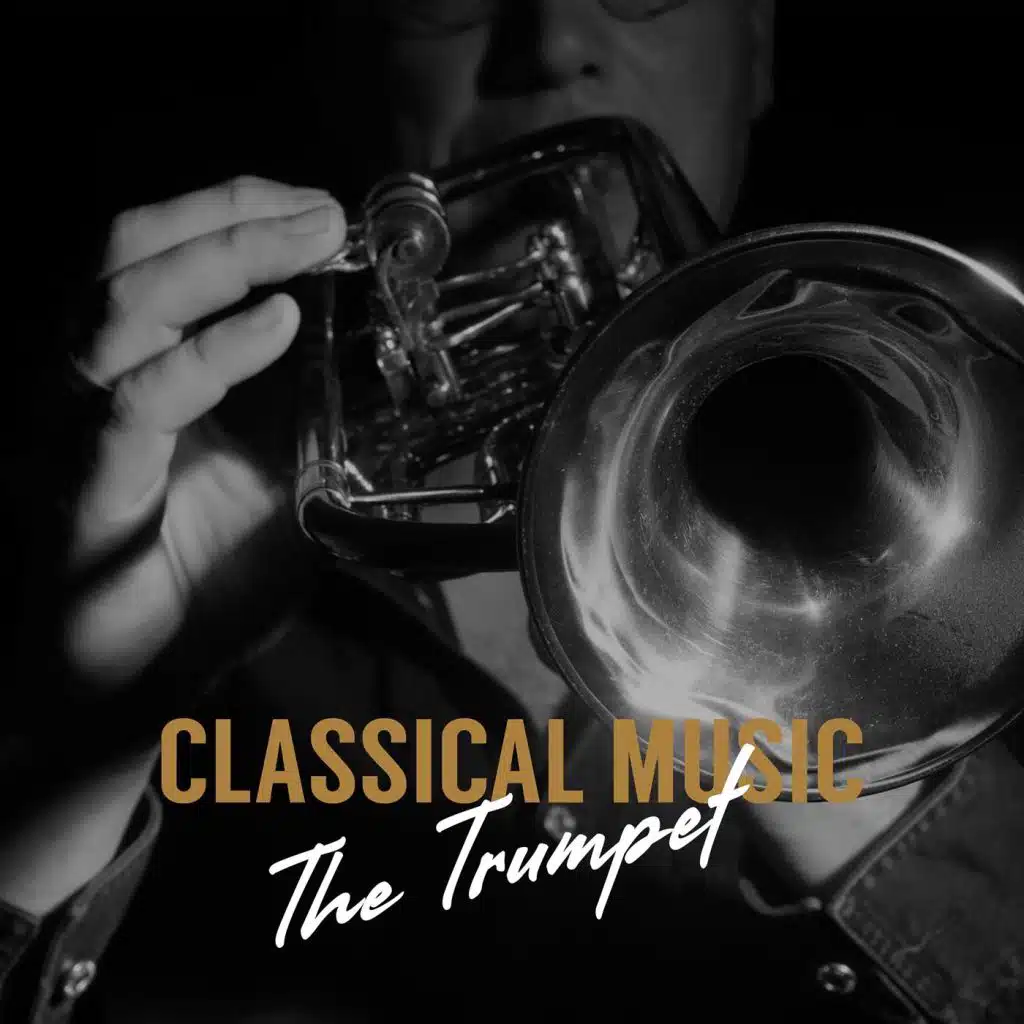 Trumpet Concerto in D Major, TWV 51:D7: III. Grave