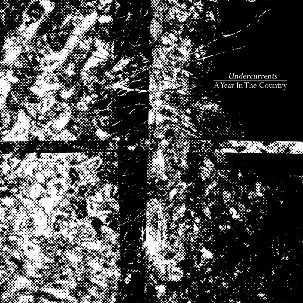 A Year in the Country