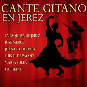 Cante Gitano en Jerez