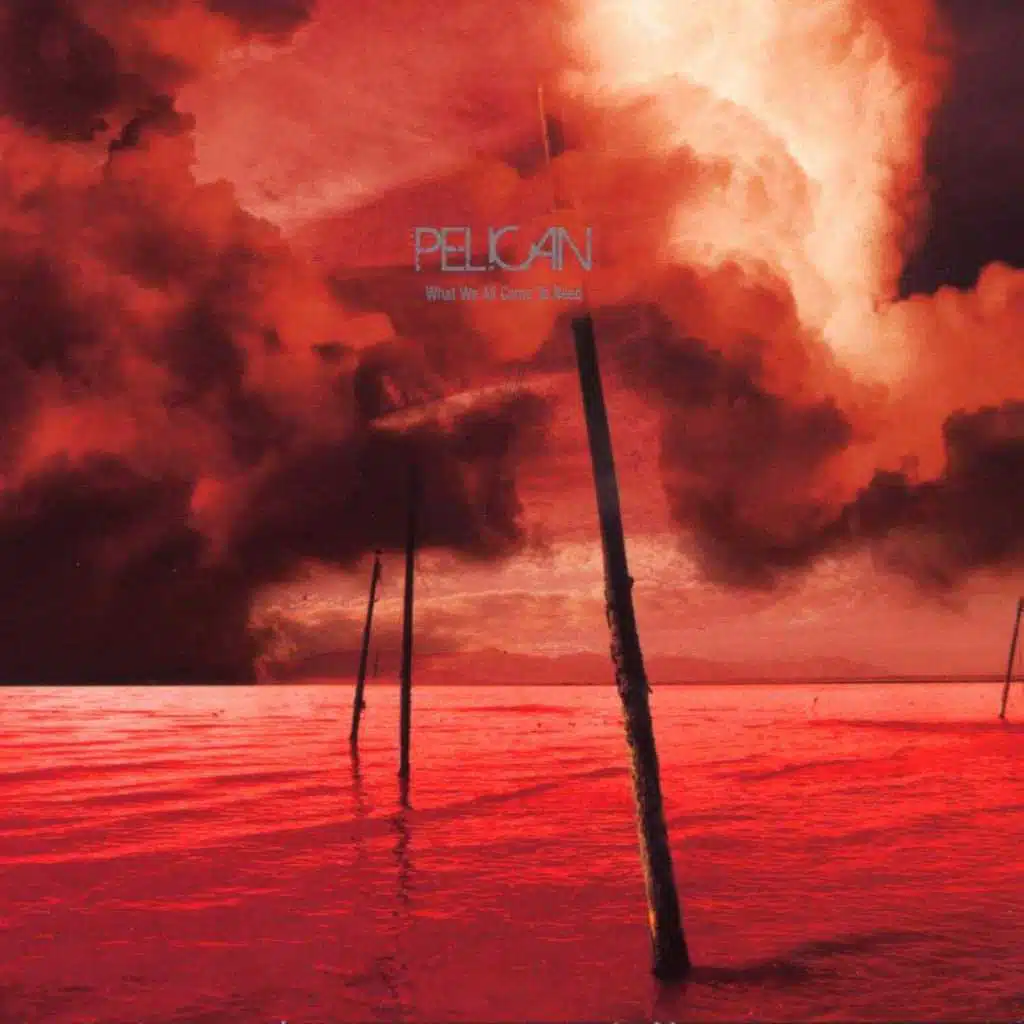 What We All Come to Need