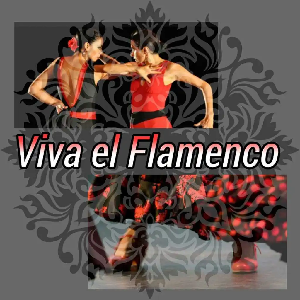 Viva el Flamenco!