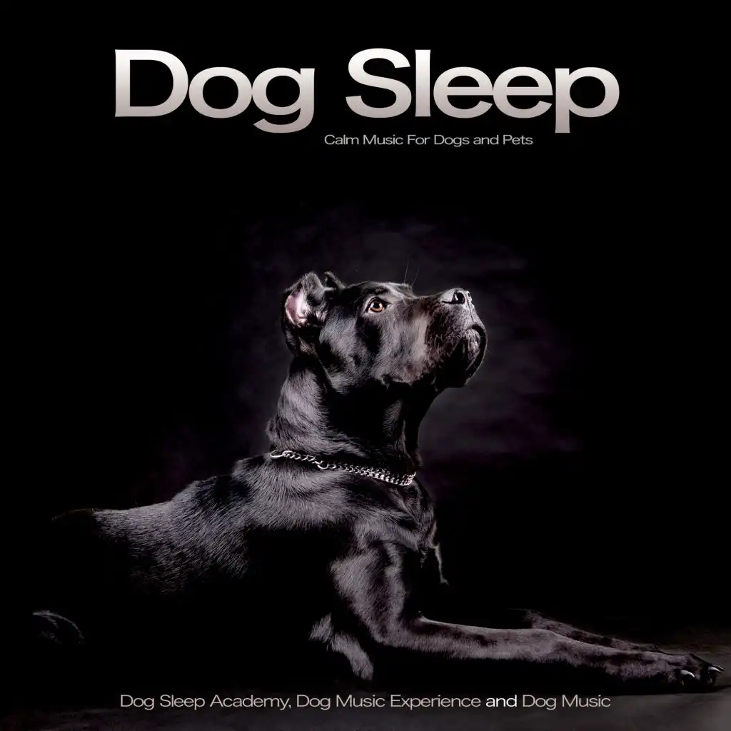 Sleeping Music for Pets