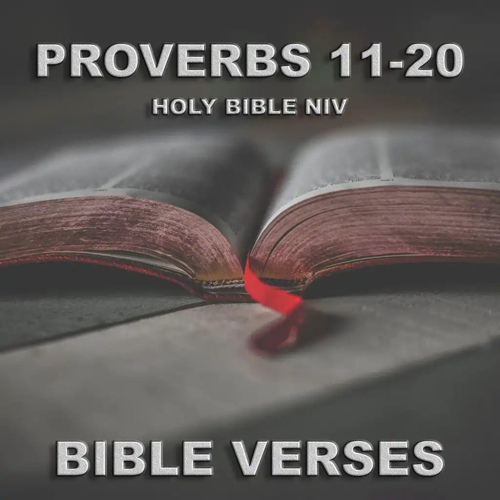 Holy Bible Niv Proverbs 13