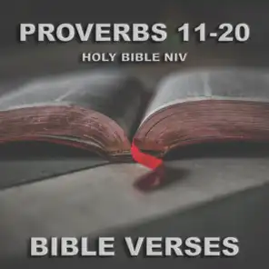 Holy Bible Niv Proverbs 11-20