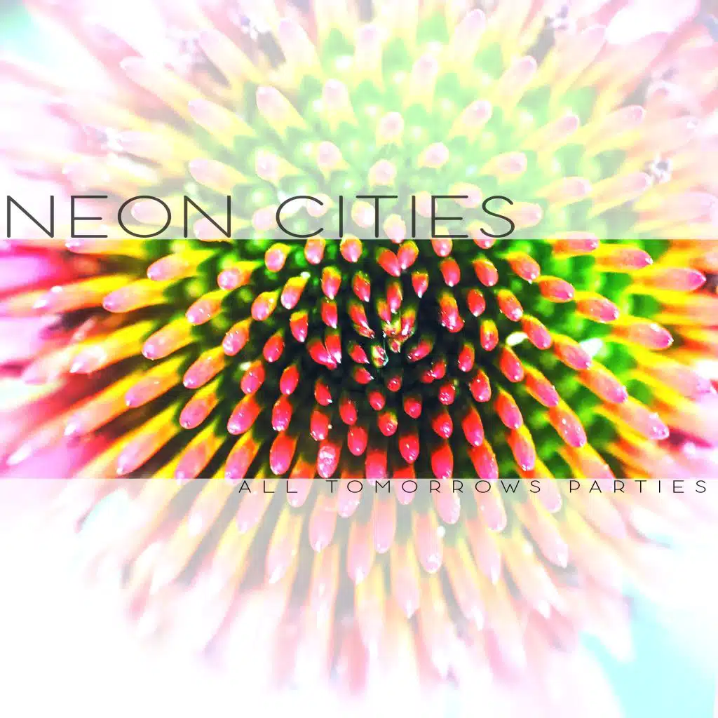 Neon Cities