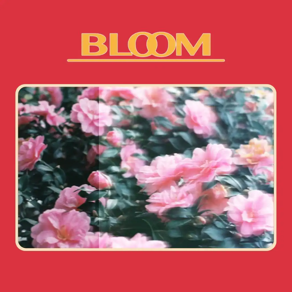 Bloom