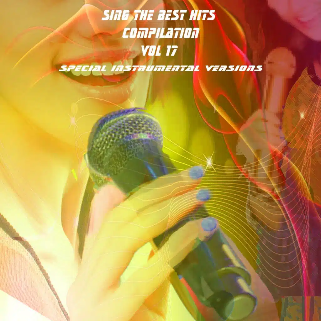 Sing The Best Hits Vol 17 (Special Instrumental Versions)