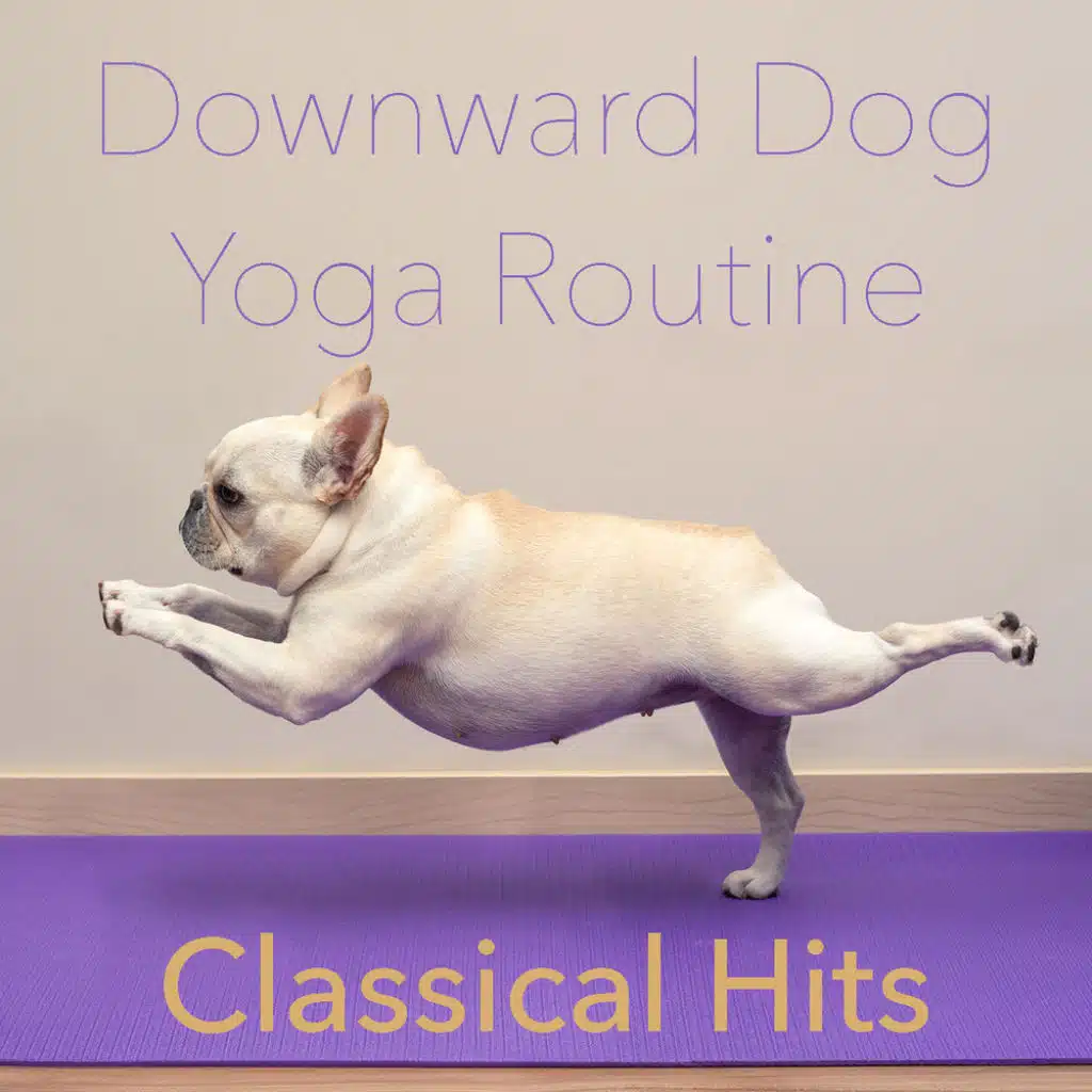 Seventh Philharmonic Orchestra