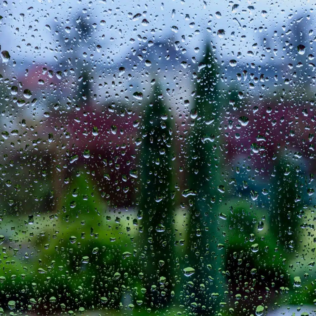 Drops on the Window