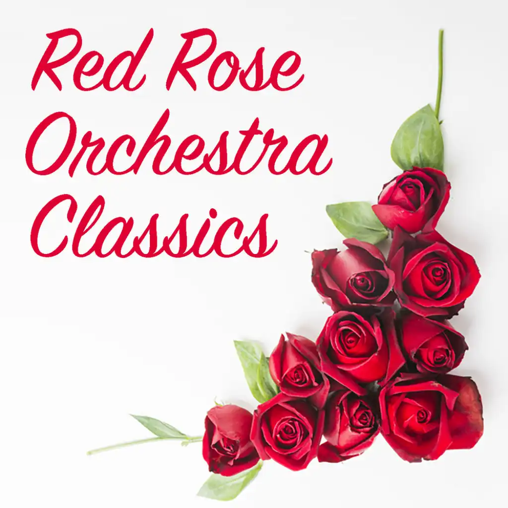 Red Rose Orchestra