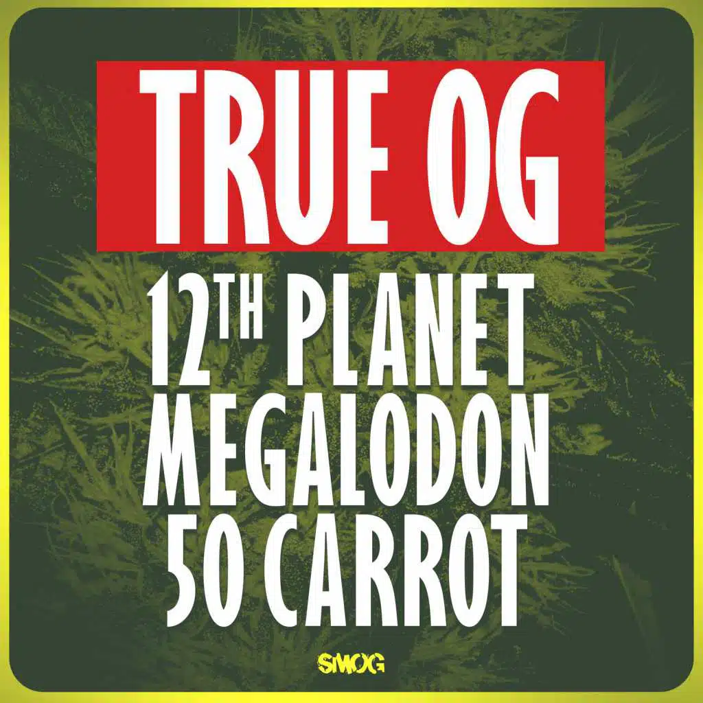 12th Planet, Megalodon & 50 Carrot