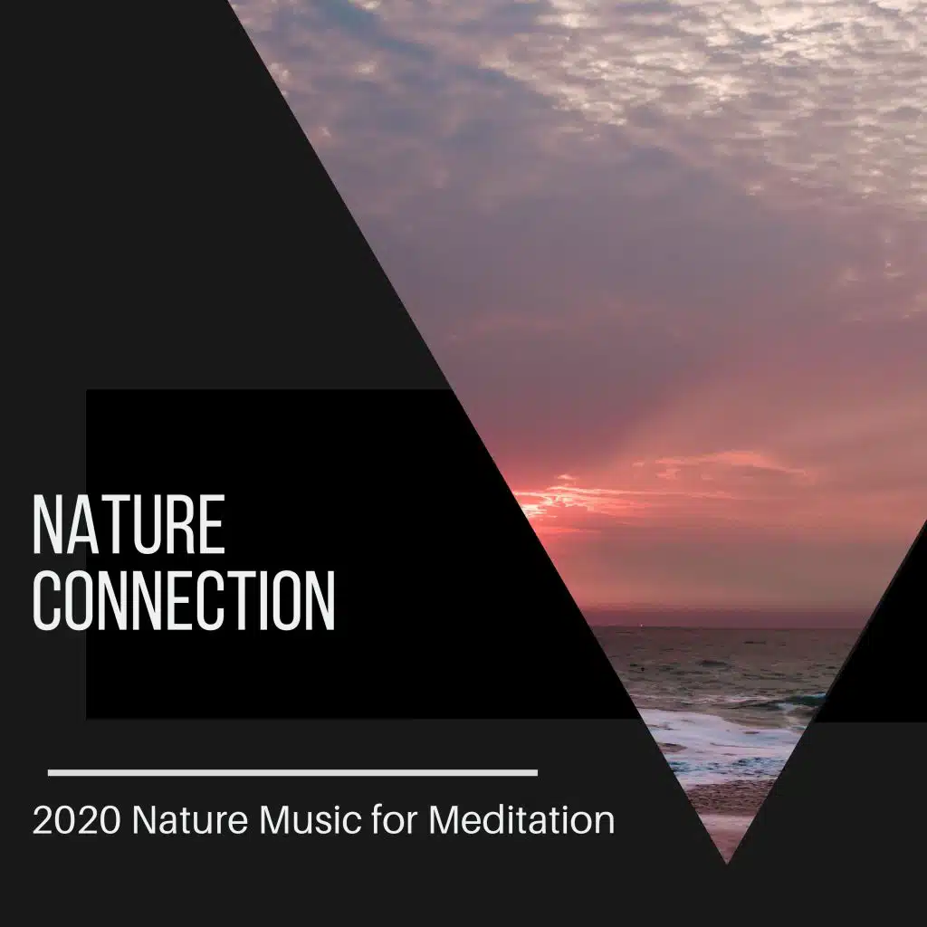 Nature Connection - 2020 Nature Music for Meditation