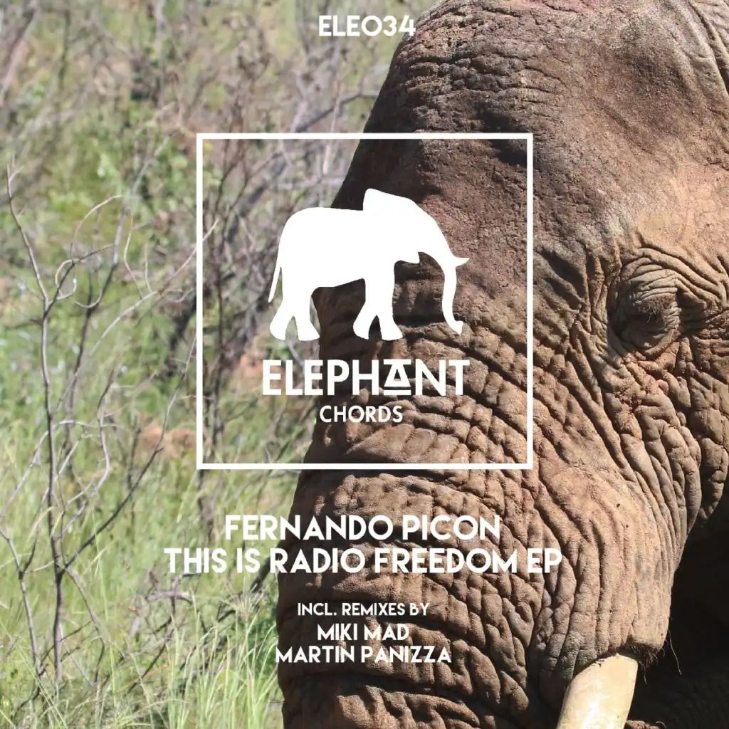 This Is Radio Freedom (Miki Mad Remix)