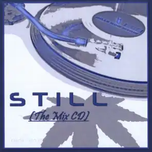 Still (The Mix)