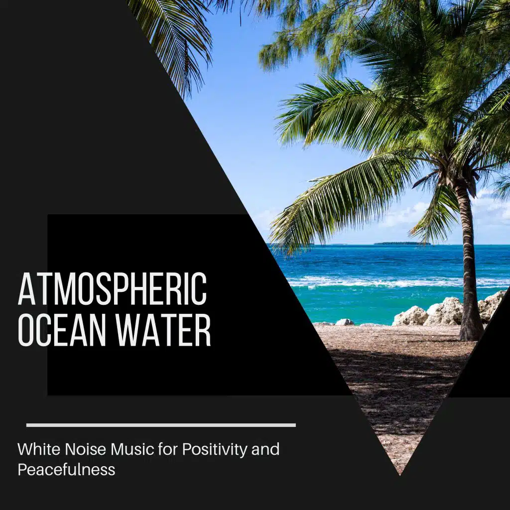 Peaceful Ocean Nature Birds