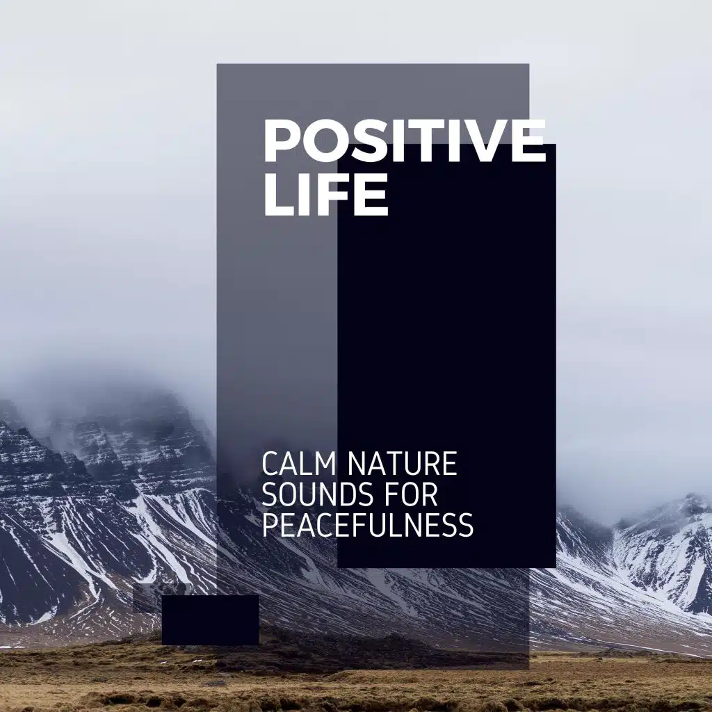 With the Ocean Tides