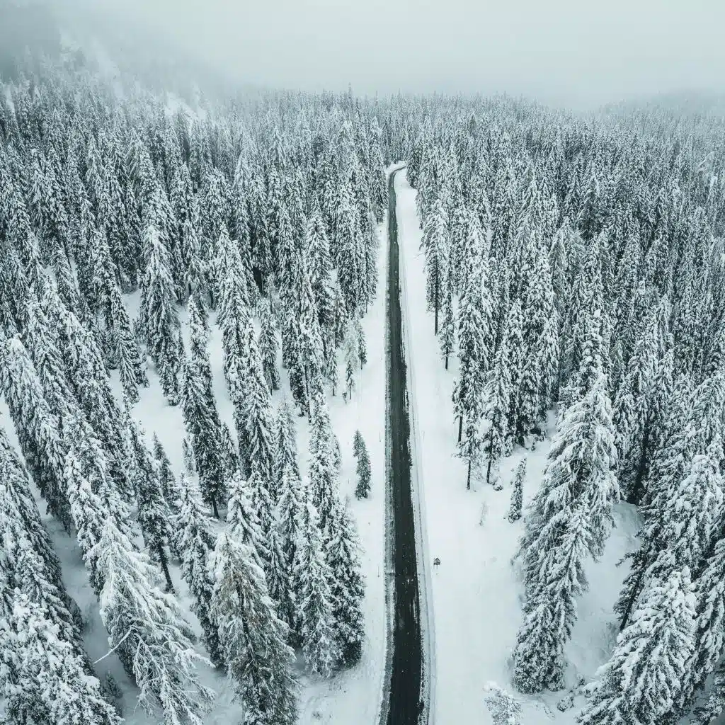 Enjoyful Sleep Baby Soughs