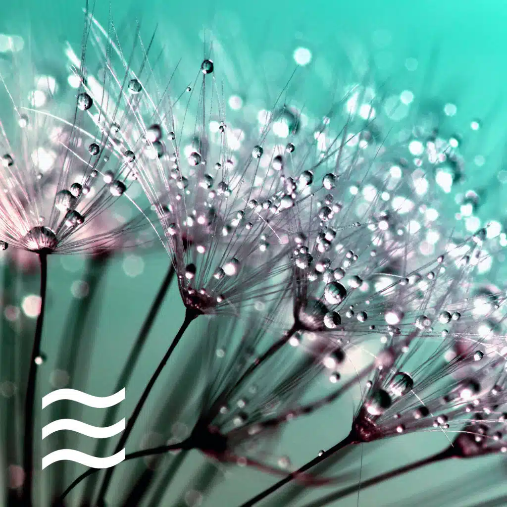 Pleasant Soothing Noise