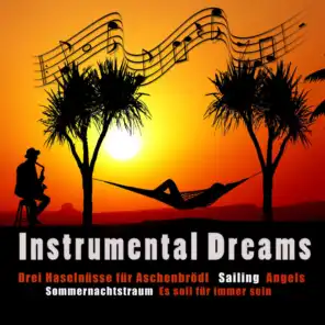 Instrumental Dreams