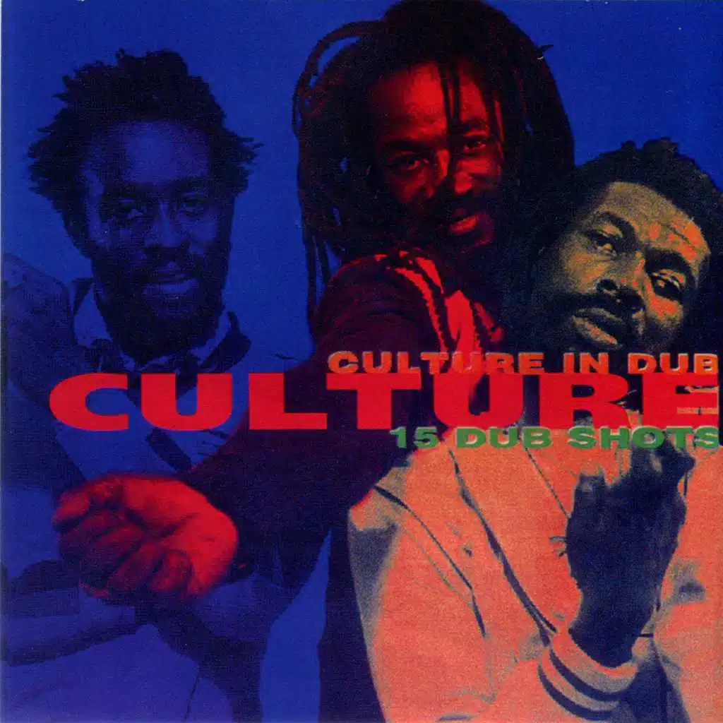 Culture in Dub