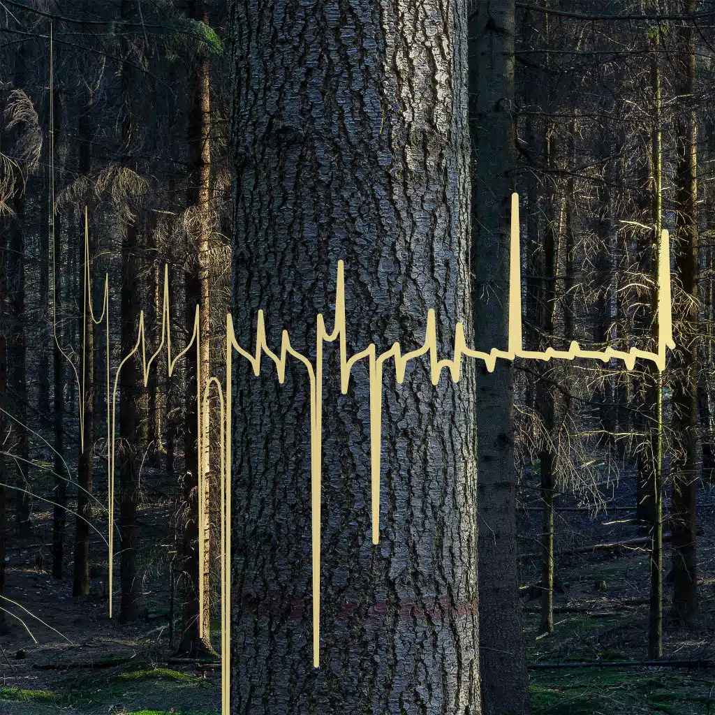 Mollono.Bass, I Am Halo