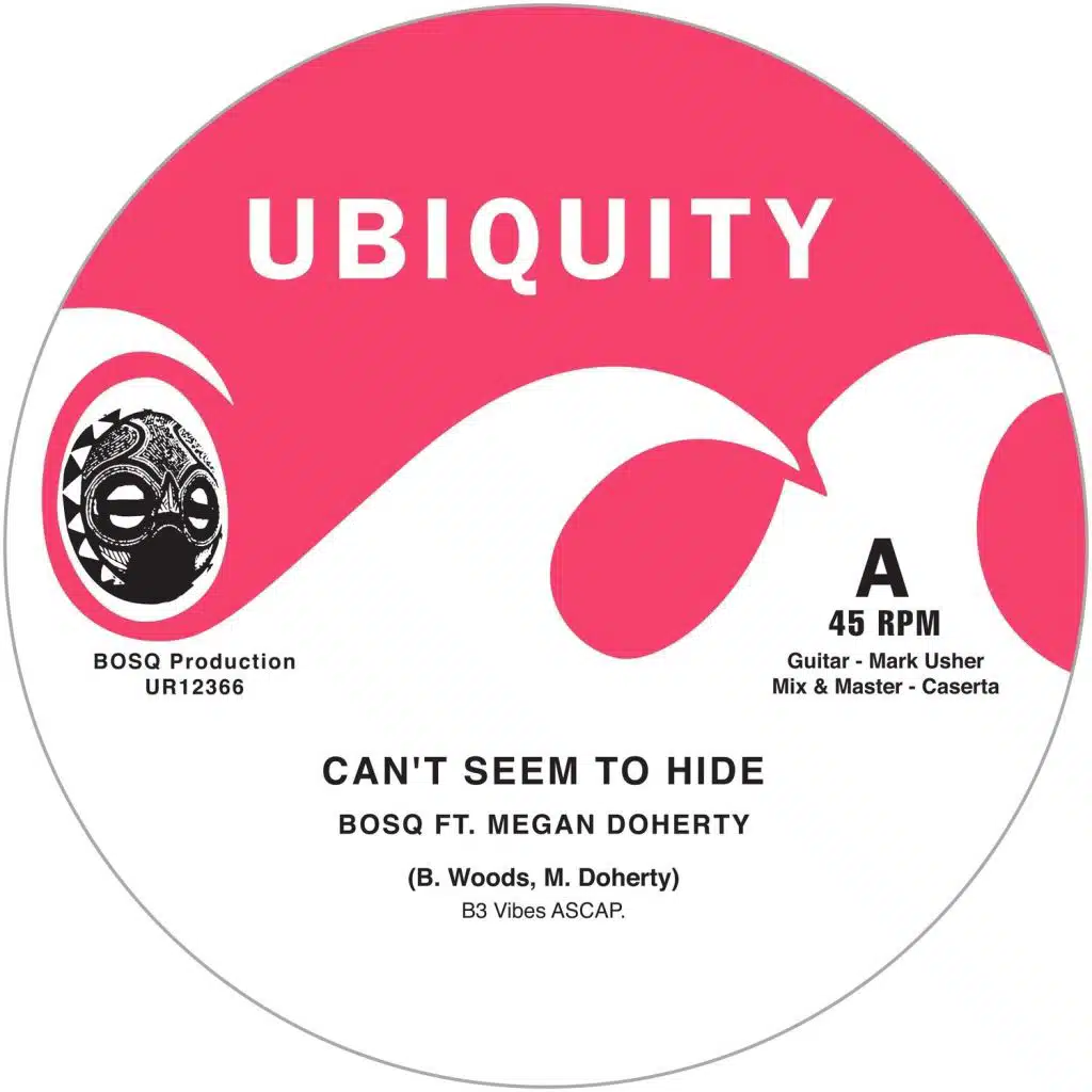 Can't Seem to Hide (Instrumental) [feat. Megan Doherty]