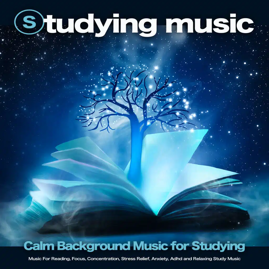 Calm Music For Reading