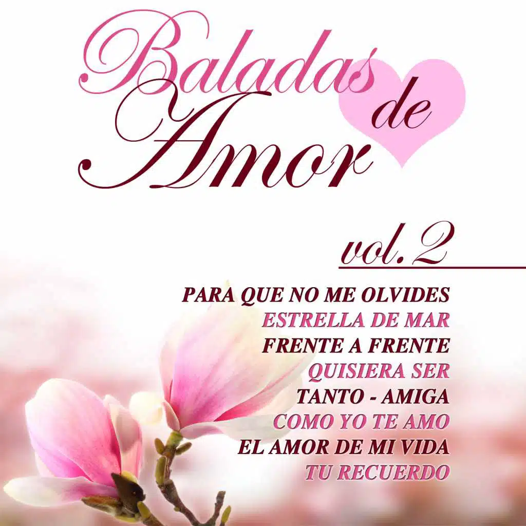 Baladas de Amor Vol. 2