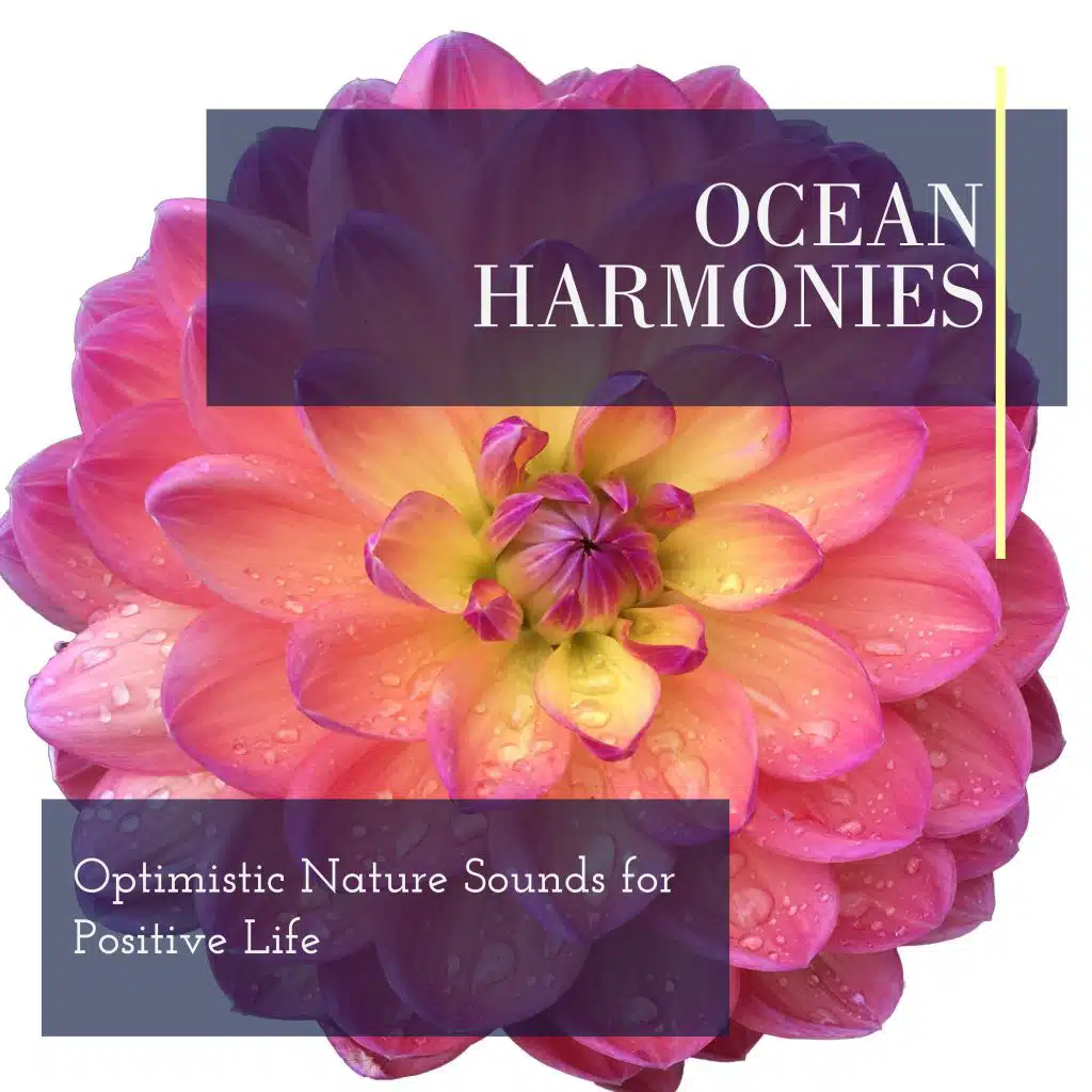 Summer Ocean Waves