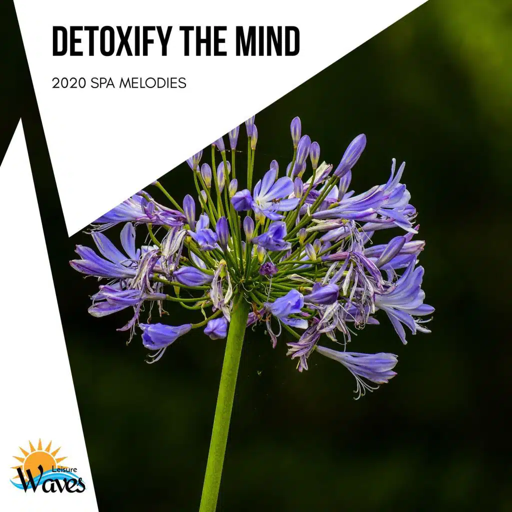 Spa in the Tropicals