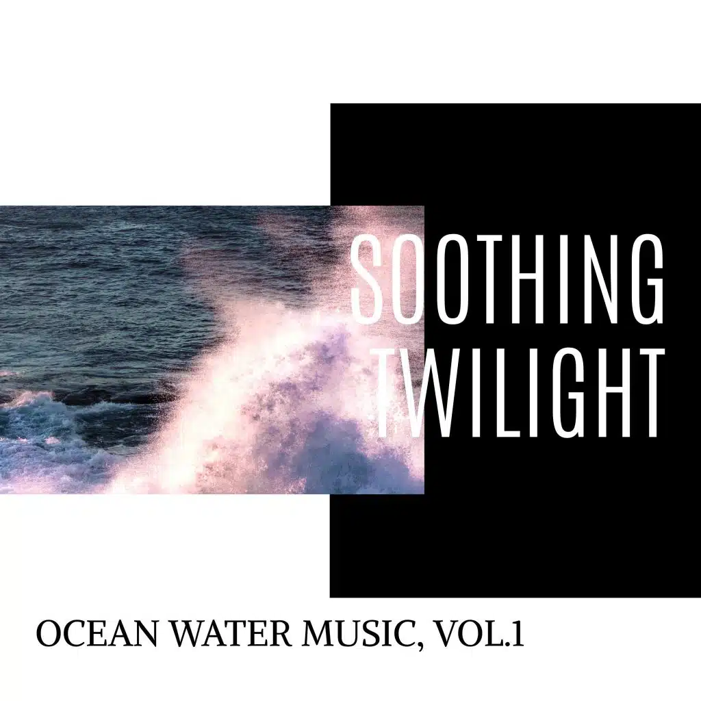 Rainy Owls and Ocean