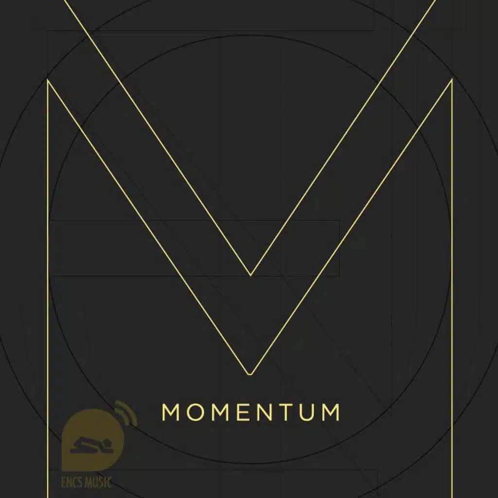 Momentum