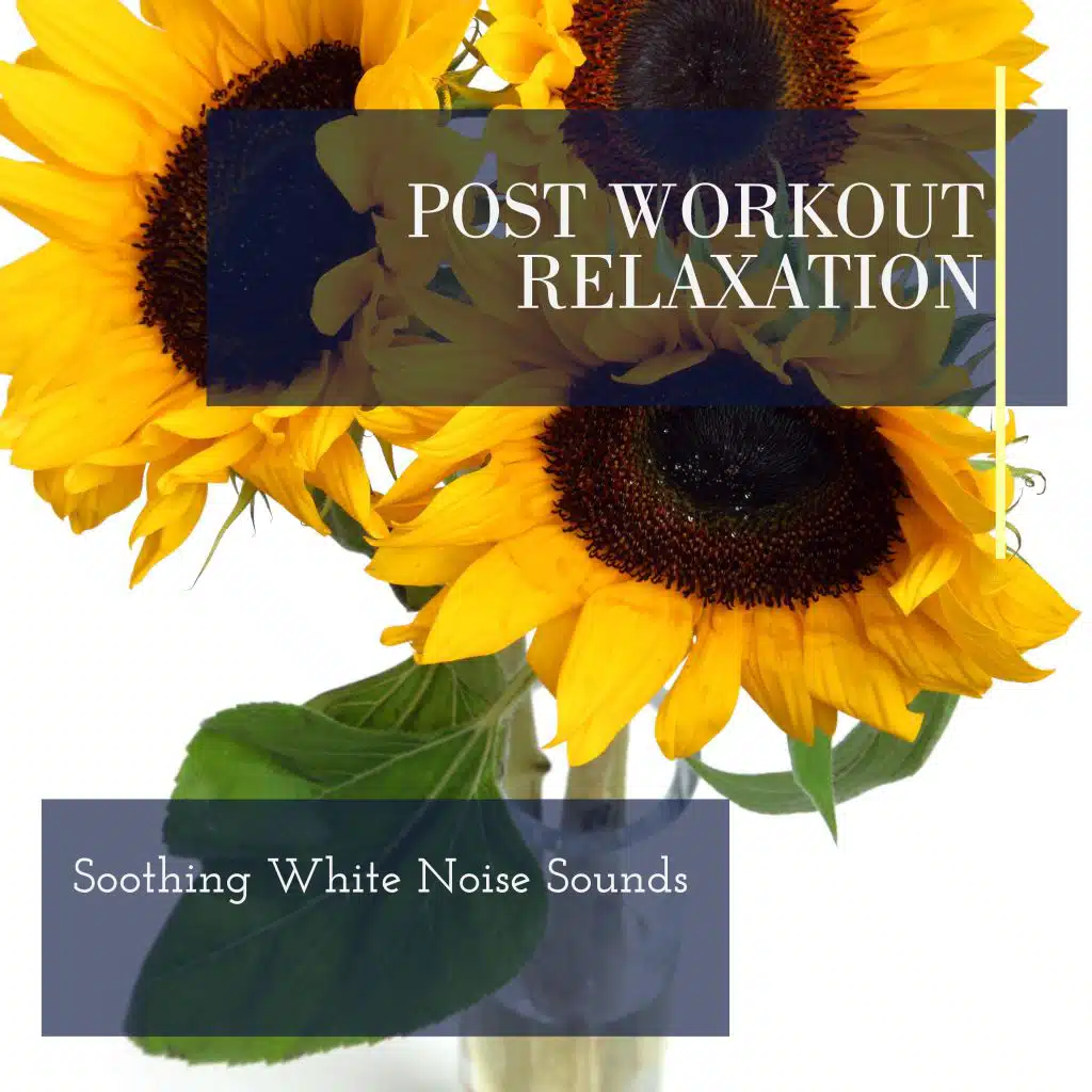 Post Workout Relaxation - Soothing White Noise Sounds