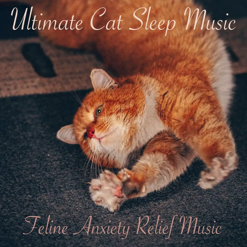Ultimate Cat Sleep Music: Feline Anxiety Relief Music