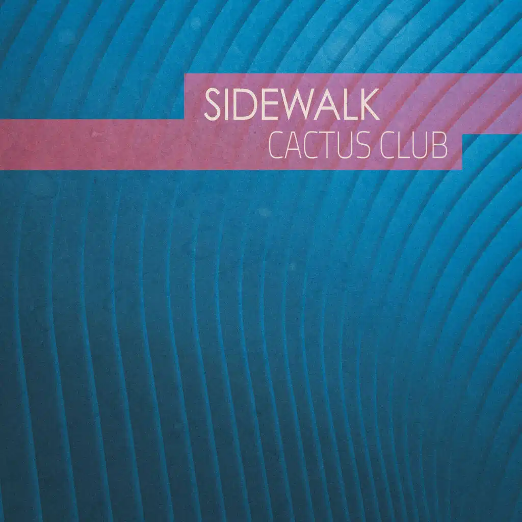 Crook Buster (Timeless Beats Mix)