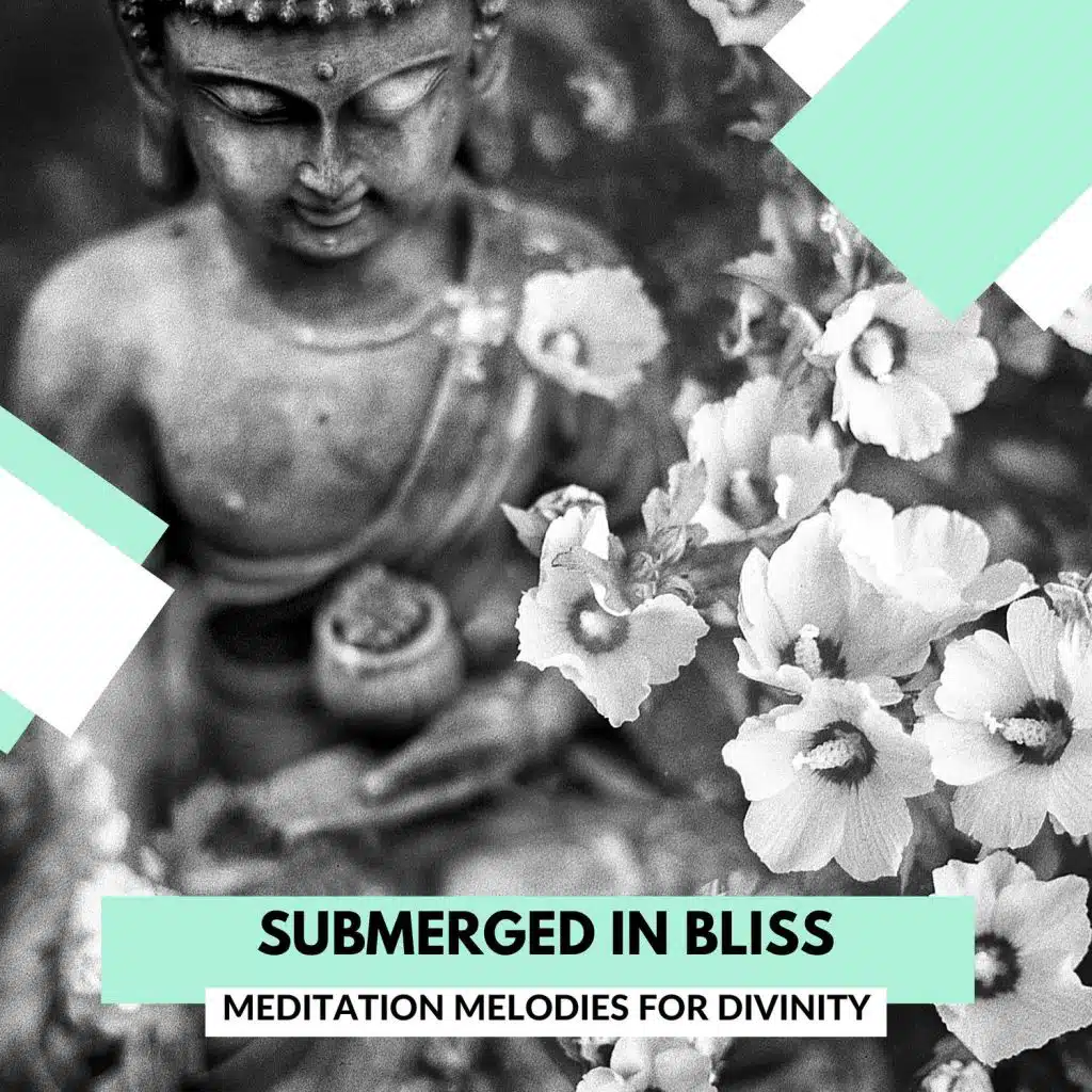 Submerged In Bliss - Meditation Melodies For Divinity