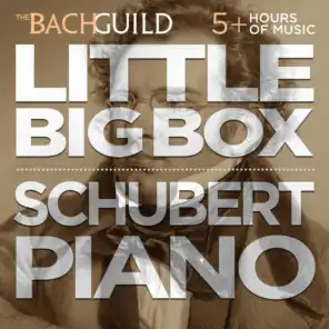 Little Big Box of Schubert Piano